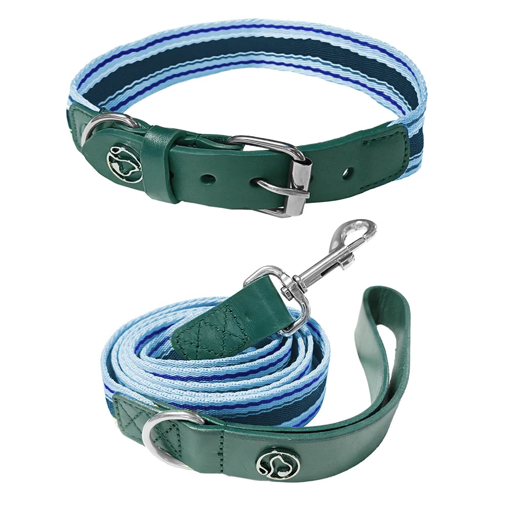 Adjustable Dog Collar And Leash Set For Small Medium Large Dogs 12 To 32 Inches