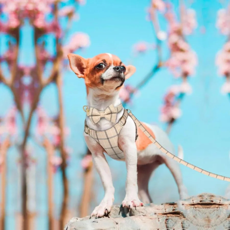 Cute Extra Small Dog Harness Collar And Leash Set With Bow Tie Plaid