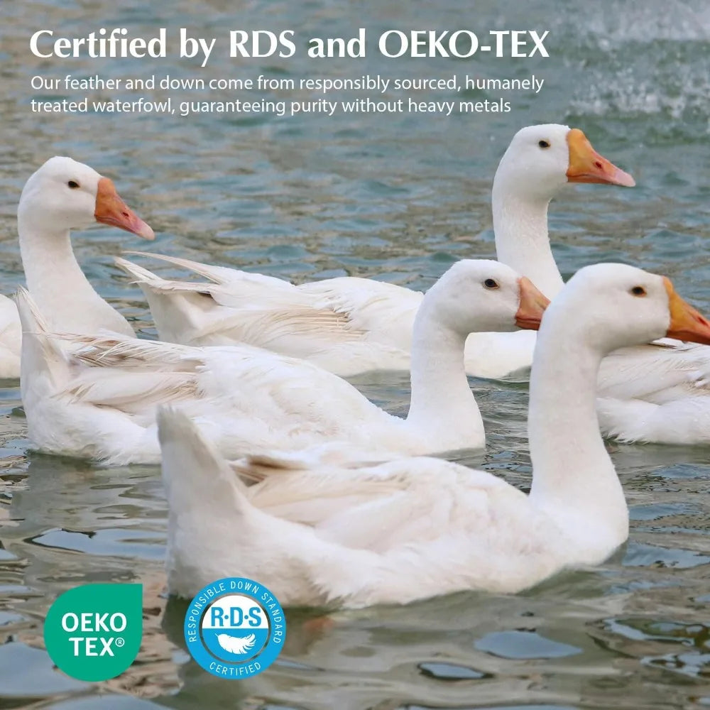 Queen Size Pacific Coast Goose Down Duvet Insert Heavyweight Winter Comforter