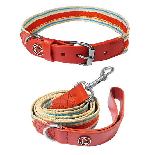 Adjustable Dog Collar And Leash Set For Small Medium Large Dogs 12 To 32 Inches