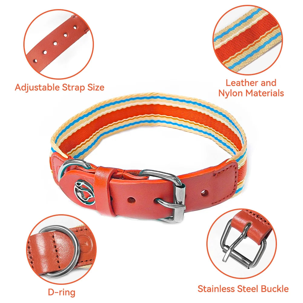 Adjustable Dog Collar And Leash Set For Small Medium Large Dogs 12 To 32 Inches