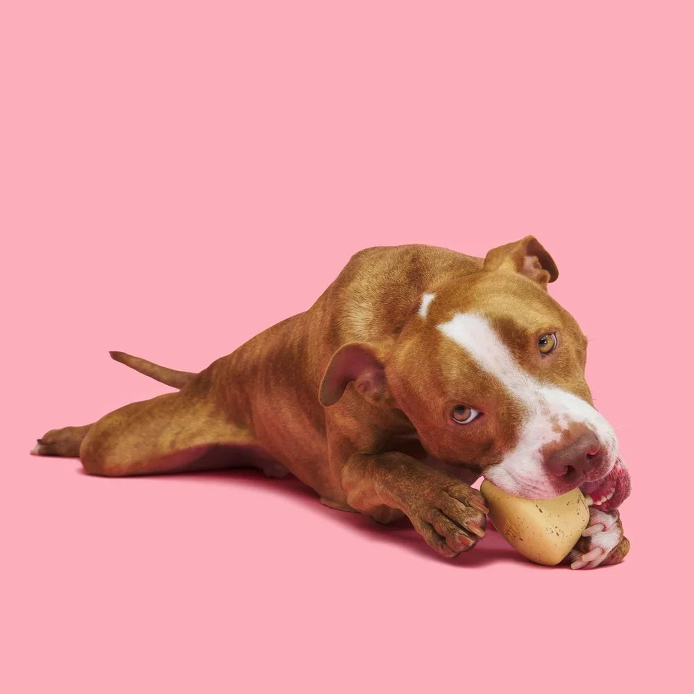 Cinnamutt Roll Vanilla Scented Rubber Dog Toy With Wobble Base For Super Chewer Interactive Chewable Treat Freezable Fun