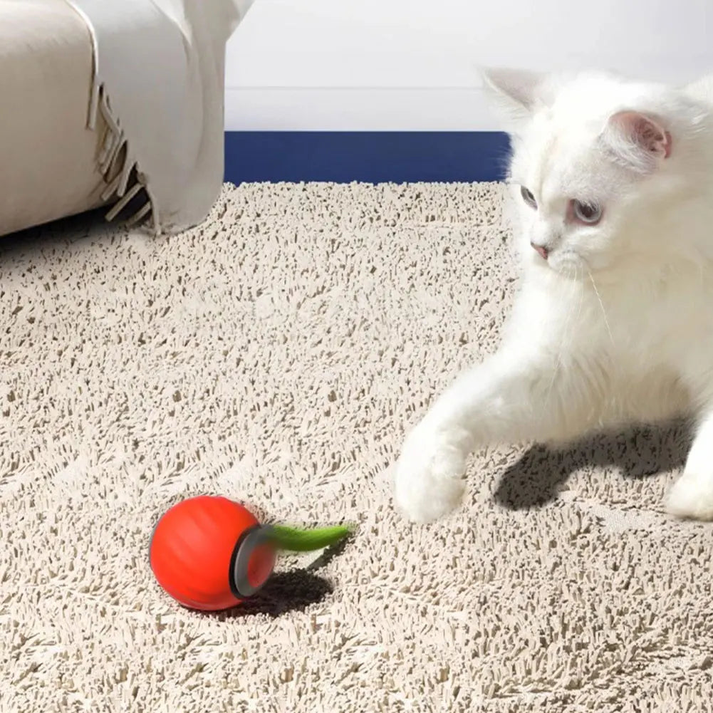 Automatic Moving Cat Toy Ball With Speedy Tail USB Rechargeable Two Speeds