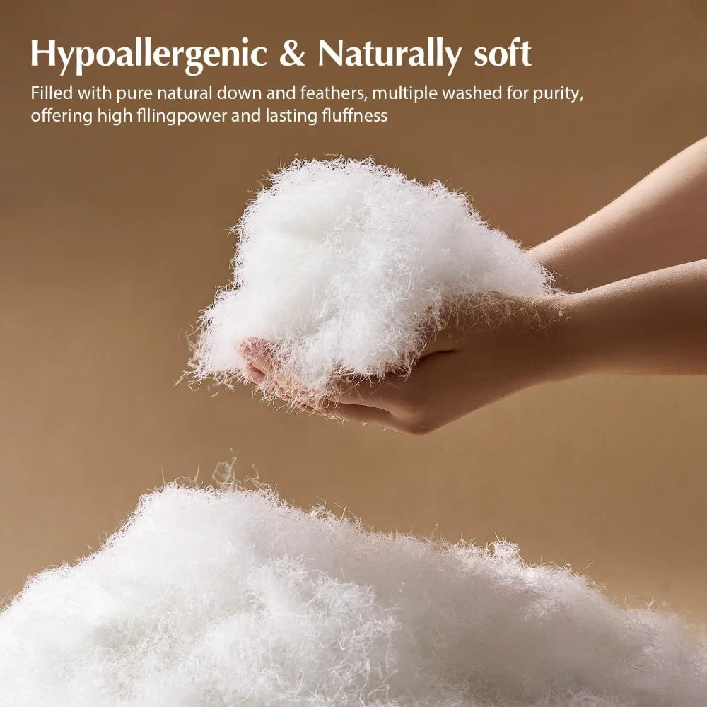 Queen Size Pacific Coast Goose Down Duvet Insert Heavyweight Winter Comforter