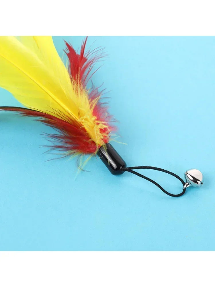 Pet Cat Toy with Bell Color Feather Toy Fishing Rod Replacement Head Feather Funny Cat Toy Cat Toys Interactive