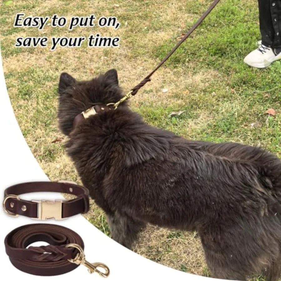6Foot Heavy Duty Leather Dog Collar And Leash Set With Metal Buckle