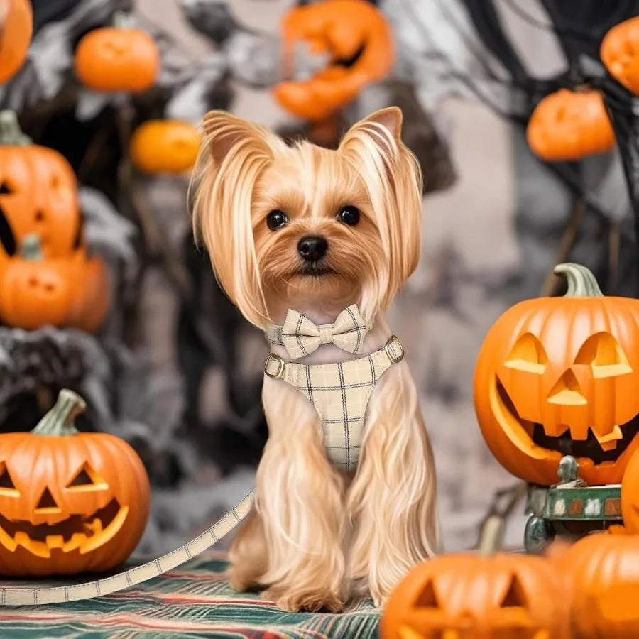 Cute Extra Small Dog Harness Collar And Leash Set With Bow Tie Plaid