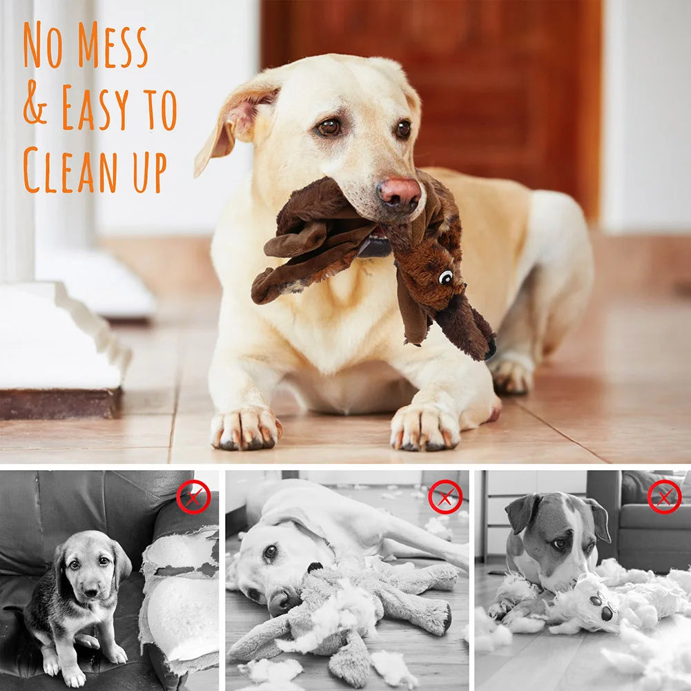 Crinkle Squeaky Plush Dog Toys No Stuffing for All Sizes