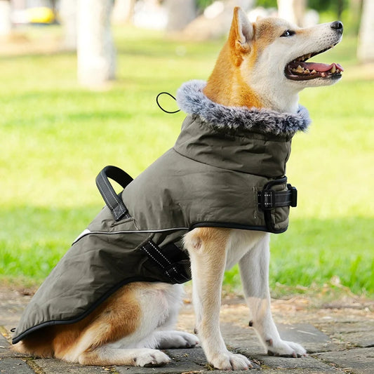 Winter Dog Coat With Harness Waterproof Fur Collar for Small to Large Dogs