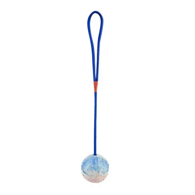 Rubber Interactive Training Toy For Dogs Natural Rubber Ball On Rope Fetch Reward Toy For Dog Training Supplies