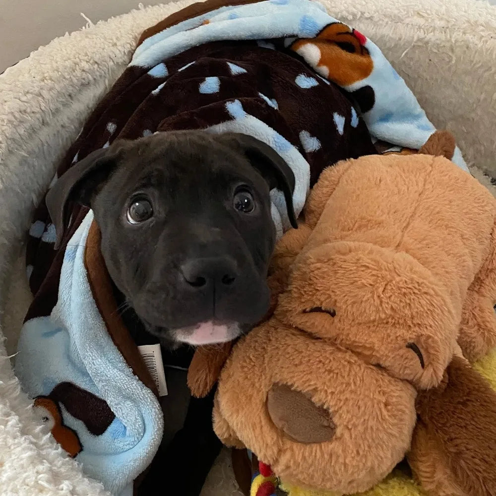 Snuggle Puppy Blanket for Pets - Cozy Dog Blanket for Small Dogs - Machine Washable Dog Blanket in Blue