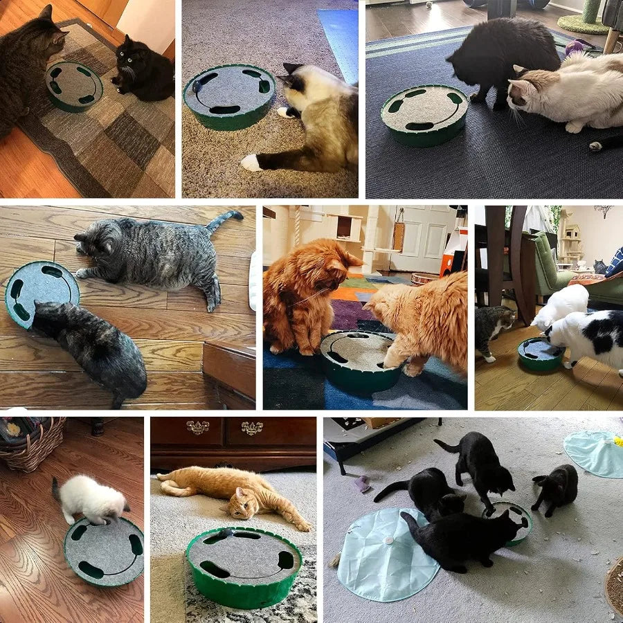 Interactive Cat Toy With Running Mouse Motion Activated Teaser For Indoor Cats Pop And Play Hide Seek Toy