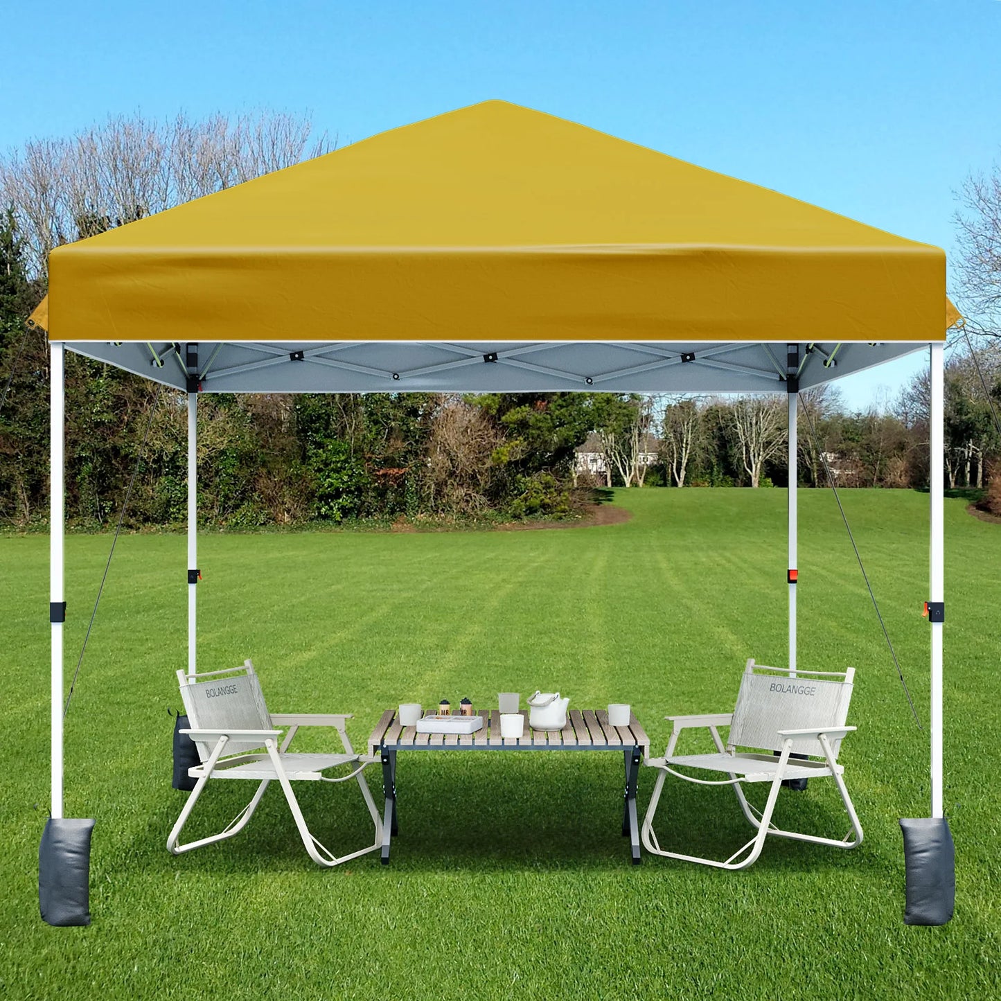 10x10ft Center Locking Canopy Tent Shelter Height Adjustable Legs Waterproof UV