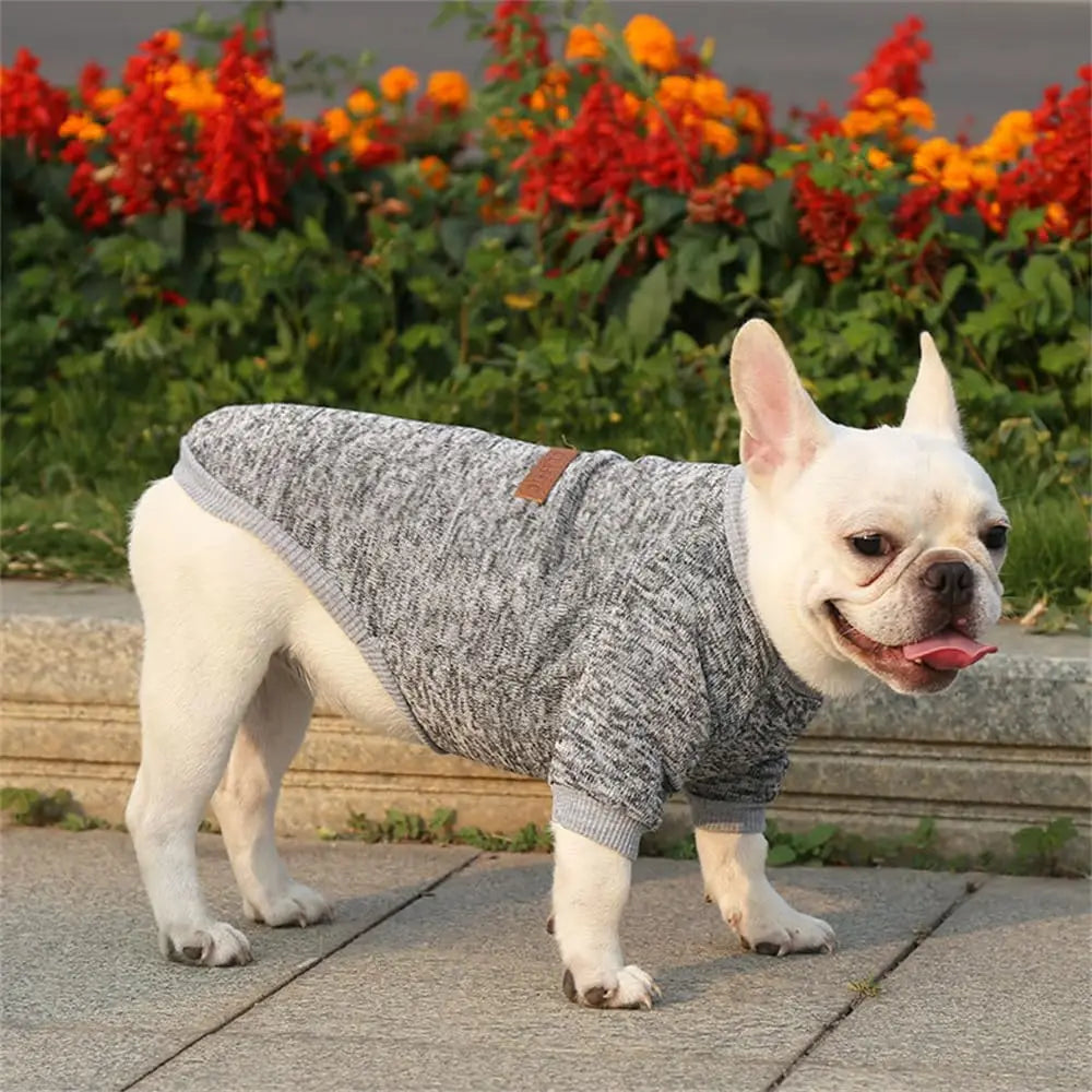 Dog Sweater Dog Clothes Warm Dog Sweater for Fall/Winter