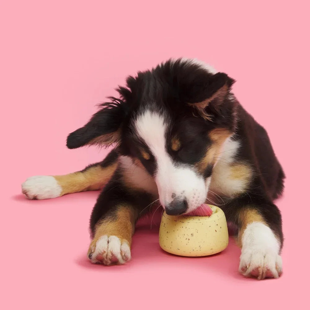 Cinnamutt Roll Vanilla Scented Rubber Dog Toy With Wobble Base For Super Chewer Interactive Chewable Treat Freezable Fun