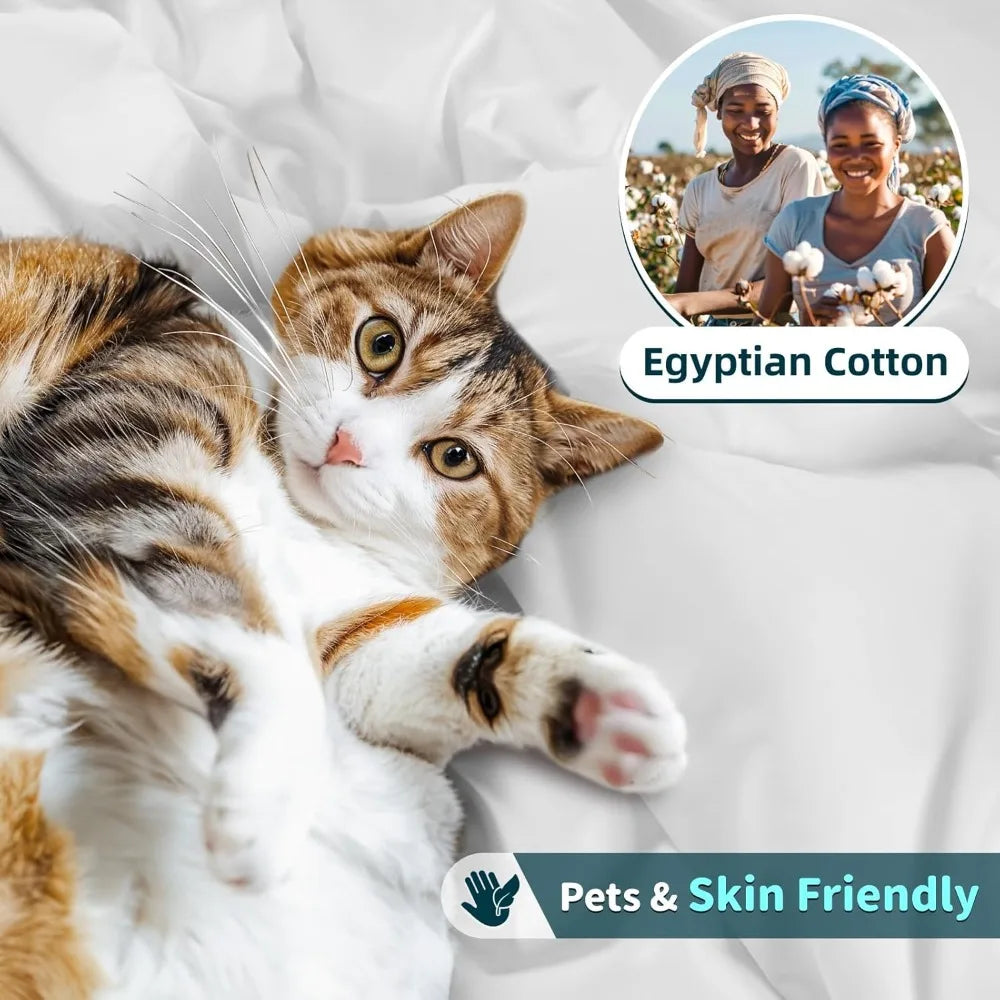 LBRO2M 100 Percent Cotton 1200 Thread Count King Size Sheet Set Deep Pocket