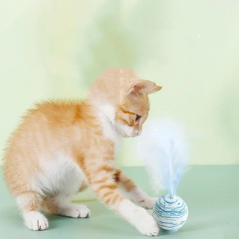 Cat toy Ball Feather Funny Cat Toy Star Ball Plus Feather Foam Ball Throwing Toys Interactive Plush Toys Pet Supplies katten toy