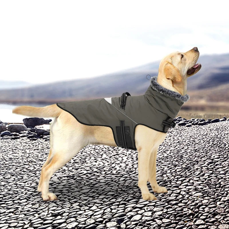 Winter Dog Coat With Harness Waterproof Fur Collar for Small to Large Dogs