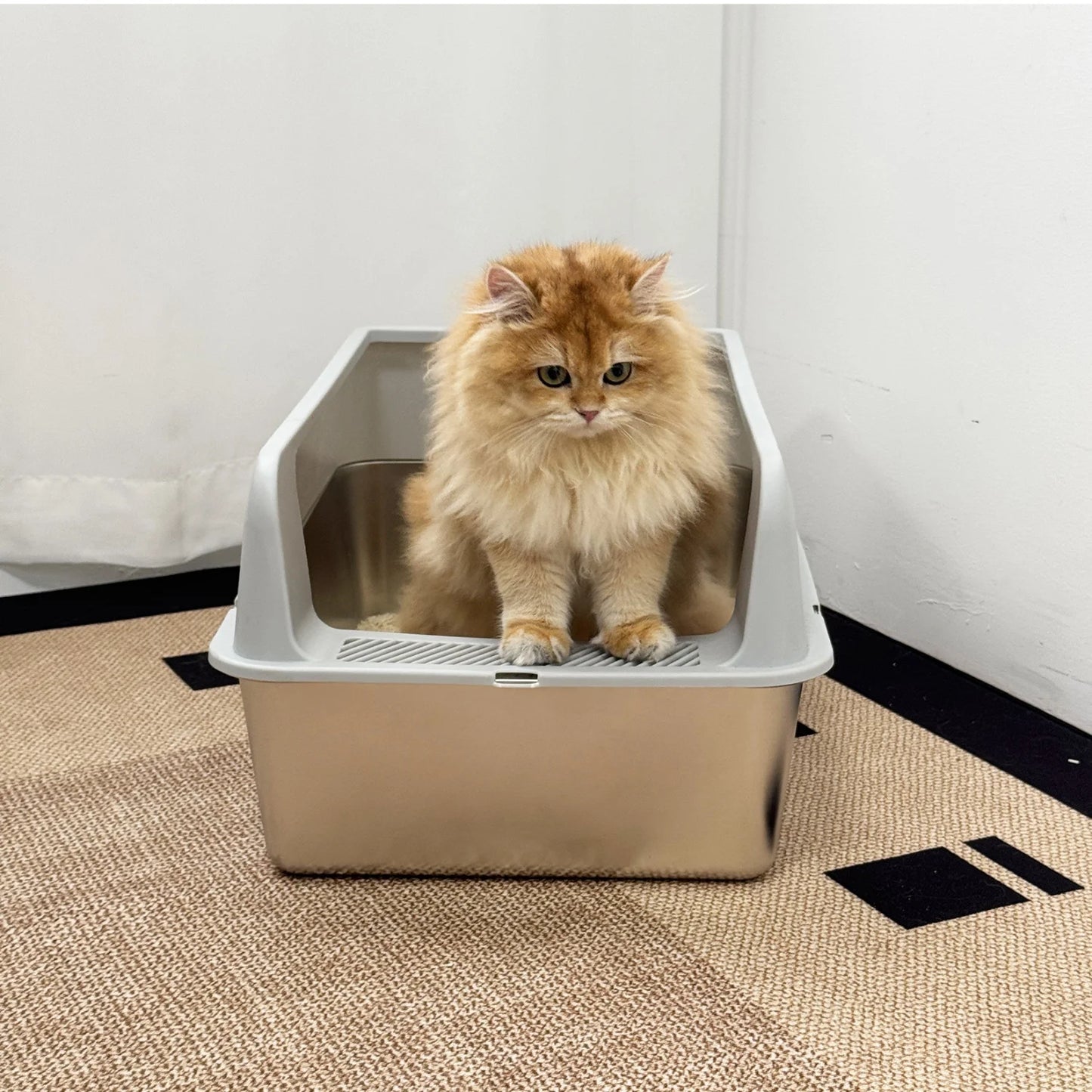 Large Stainless Steel Cat Litter Box With High Sides And Spoon For Small To Medium Cats Open Litter Pan Easy To Clean