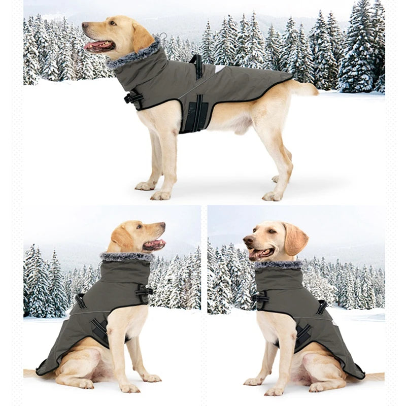 Winter Dog Coat With Harness Waterproof Fur Collar for Small to Large Dogs