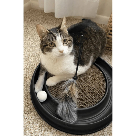 Turbo Scratcher Interactive Cat Toy Ball Track Scratch Pad And Non Skid Feet
