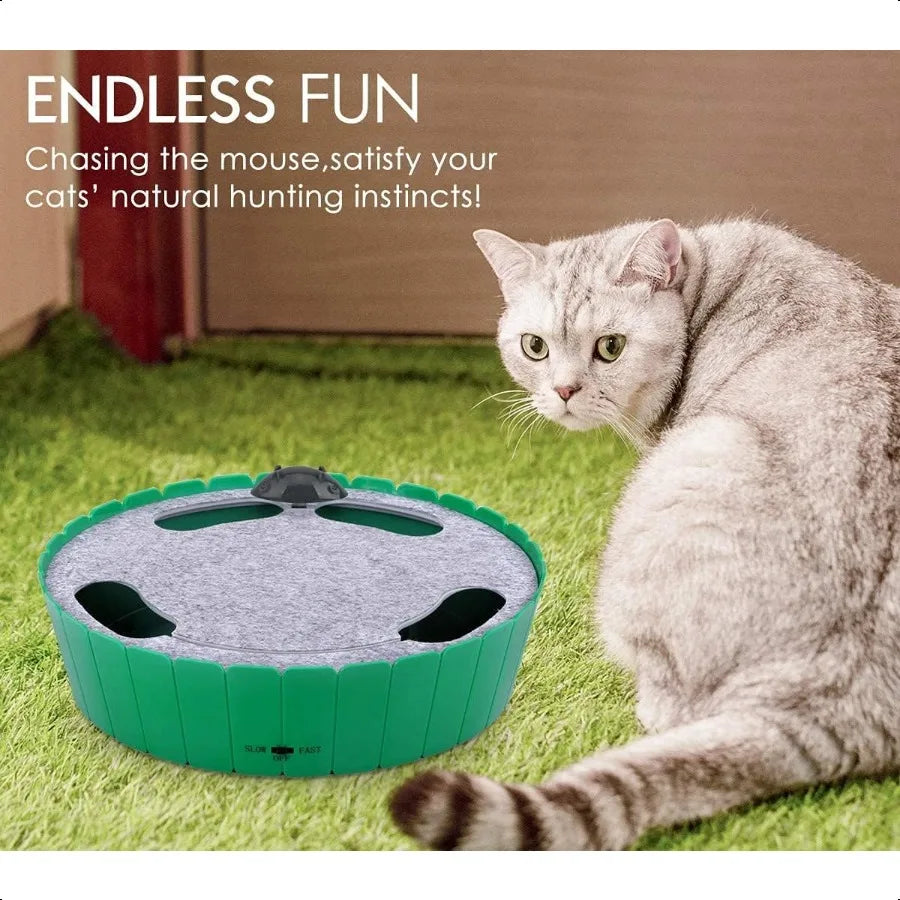 Interactive Cat Toy With Running Mouse Motion Activated Teaser For Indoor Cats Pop And Play Hide Seek Toy
