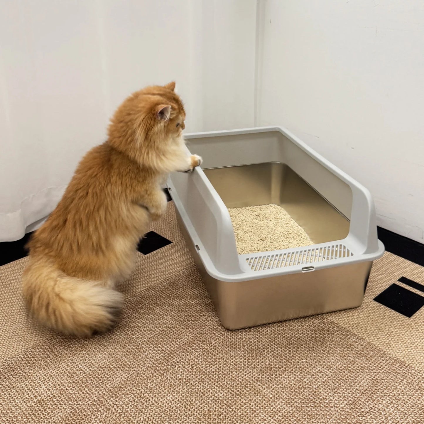 Large Stainless Steel Cat Litter Box With High Sides And Spoon For Small To Medium Cats Open Litter Pan Easy To Clean