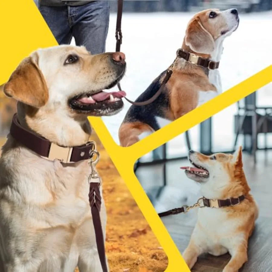 6Foot Heavy Duty Leather Dog Collar And Leash Set With Metal Buckle